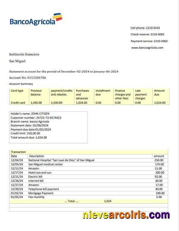 Dominican Republic Banco Agricola bank statement 3 – 6 months Word and PDF example